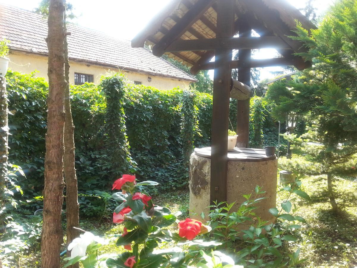 Bed and Breakfast Felso Fogado Felsotold Экстерьер фото