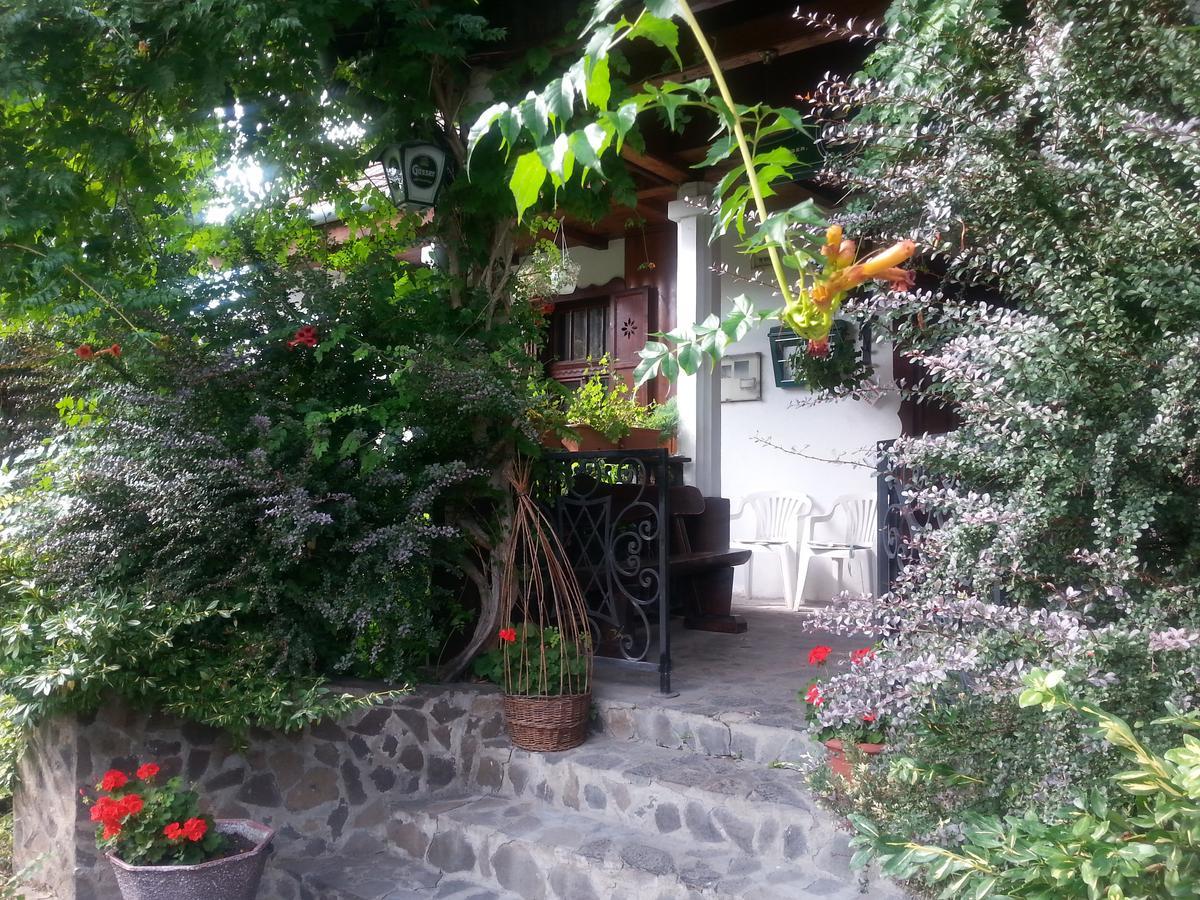 Bed and Breakfast Felso Fogado Felsotold Экстерьер фото